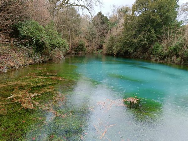 Silent Pool